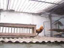 DSCN0057