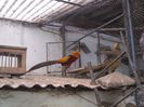 DSCN0058