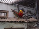 DSCN0059