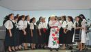 SAVA NEGREAN BRUDASCU LA SERBAREA FIILOR SATULUI PALOS IN 2013.