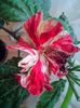 IMG_20140217_101601