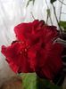 IMG_20140214_140805