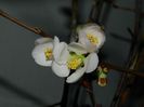 DSCN2223