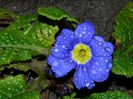 DSCN2283