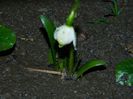 DSCN2284