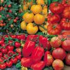 Rosii -Colectie Tomato Collection