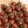 Tomate Black Opal
