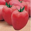 Tomate Cuor di Bue