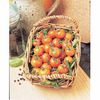 Tomate Sungold F1