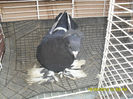 SAM_0388