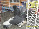 SAM_0420