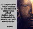 Citat - Buddha