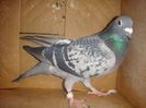 DSC02196