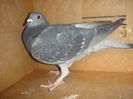 DSC02221