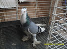 SAM_0383