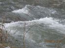 IMG_2571