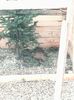 IMG_20140219_163409