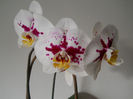 DSCN0449