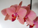 DSCN0454