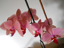 DSCN0455
