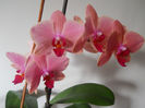 DSCN0456