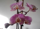 DSCN0457