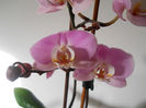 DSCN0458