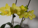 DSCN0460