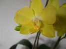 DSCN0461