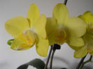 DSCN0462