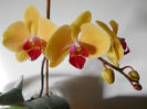 DSCN0463