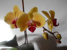 DSCN0464