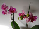 DSCN0465