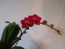 DSCN0490