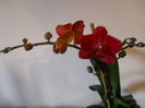 DSCN0494