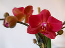 DSCN0495_047