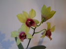 DSCN0501