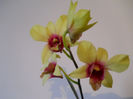 DSCN0502