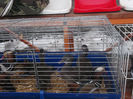 DSCF0194