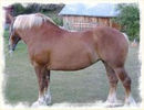 29326088_BBZNMSGDN