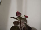 DSCF2557