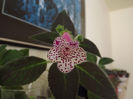DSCF2558