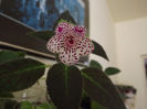 DSCF2561