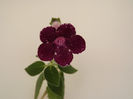 DSCF2582