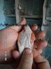 SAM_3490