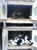 IMG_20140220_134521