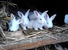 IMG_20140220_134720