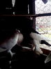 IMG_20140218_125935