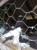 IMG_20140218_125208