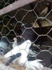 IMG_20140218_125159